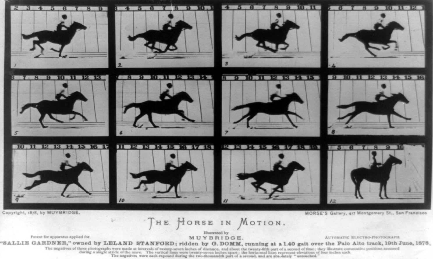 1961_muybridge_running_horse.jpg